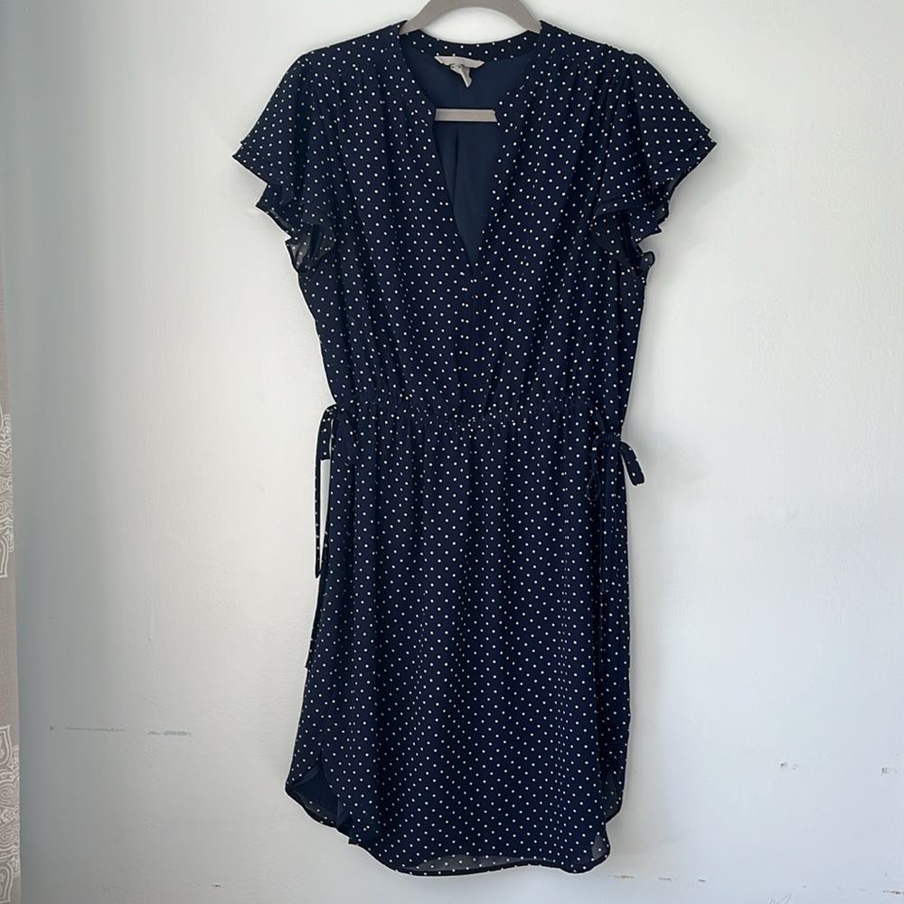 H&M Navy Polka Dot Dress